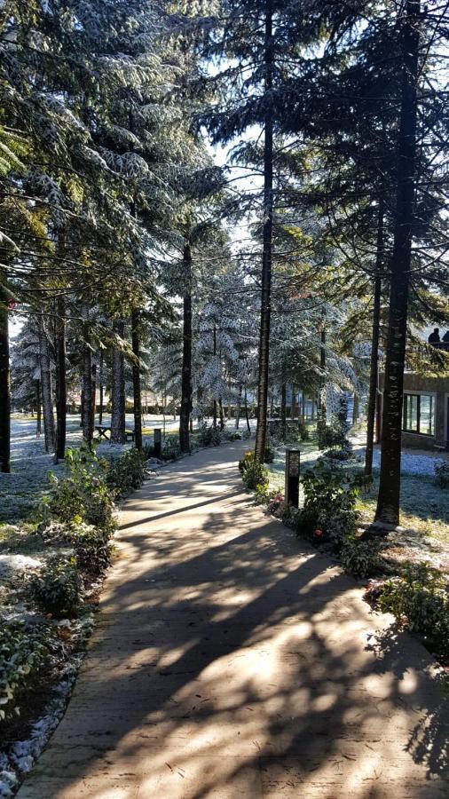 Bolu Koru Hotels Spa & Convention Yolcati  Экстерьер фото