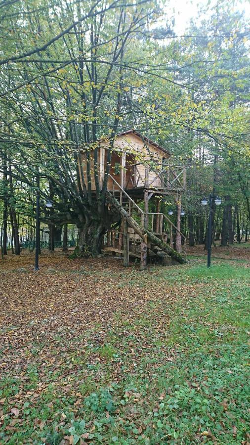 Bolu Koru Hotels Spa & Convention Yolcati  Экстерьер фото